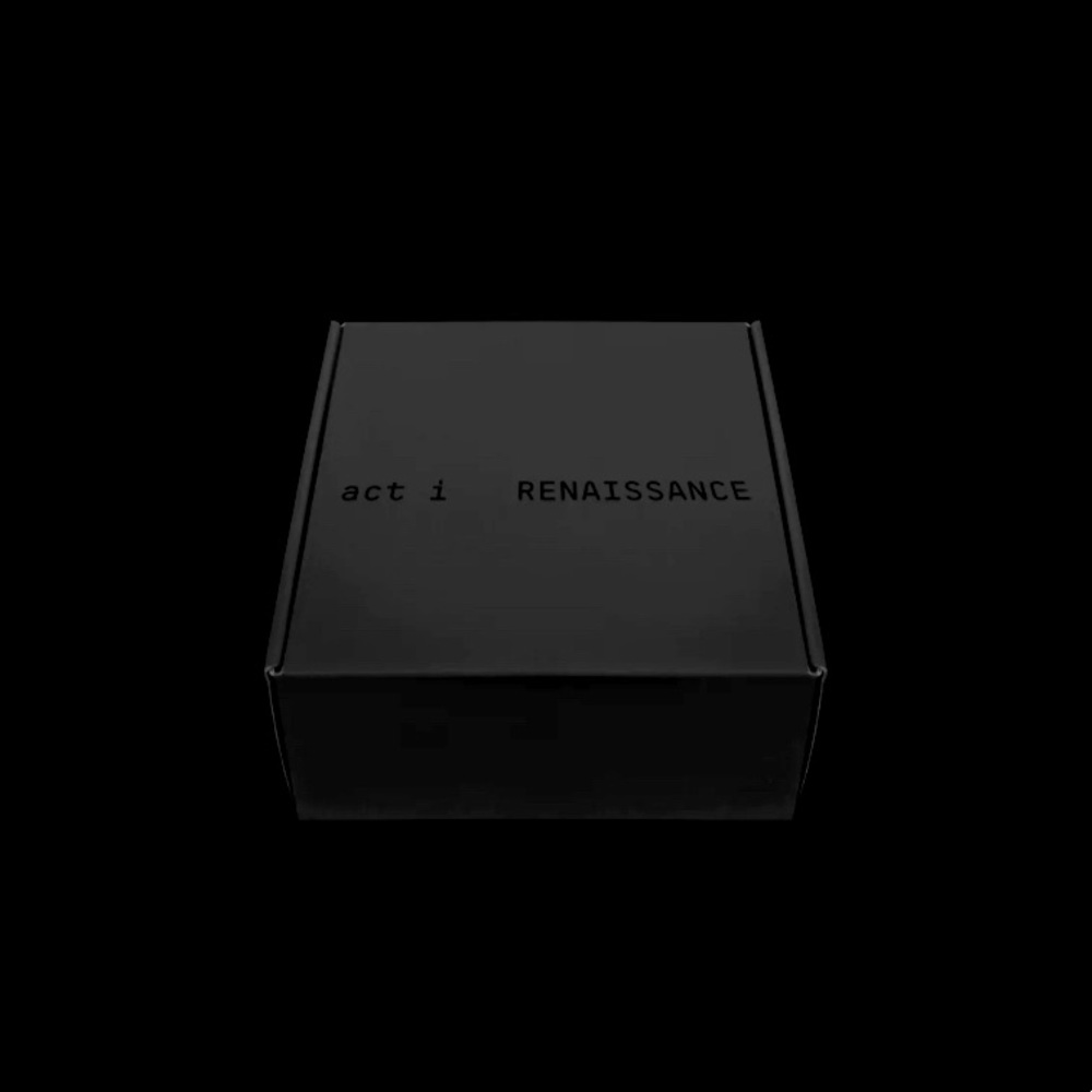 Beyonce Act 1 Renaissance Box Set - Size Medium - Break my Soul - Pose 2